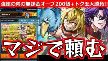 【モンスト】「シャンフロコラボ ガチャ」※こんな奇跡あるのか…!!強運無課金の弟が貯めたオーブ200個＋トク玉大勝負!!!【シャングリラ・フロンティアコラボ】