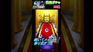 【薬屋ガチャ】なけなしのオーブ10連ずつ！　  #薬屋のひとりごと    #モンスト　#猫ミーム   #shorts    #short