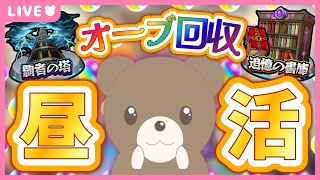【モンスト/ 縦型配信】初！昼配信！オーブを集めまくる💪【現実逃避したいきぬちゃん#vtuber 】